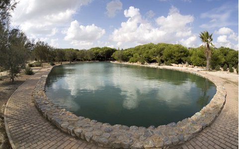 torrevieja-paraje-natural-4 480.jpg