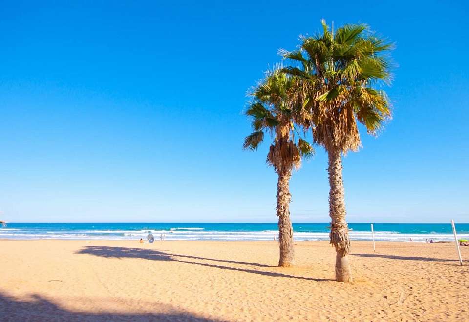 Beaches with Blue Flag